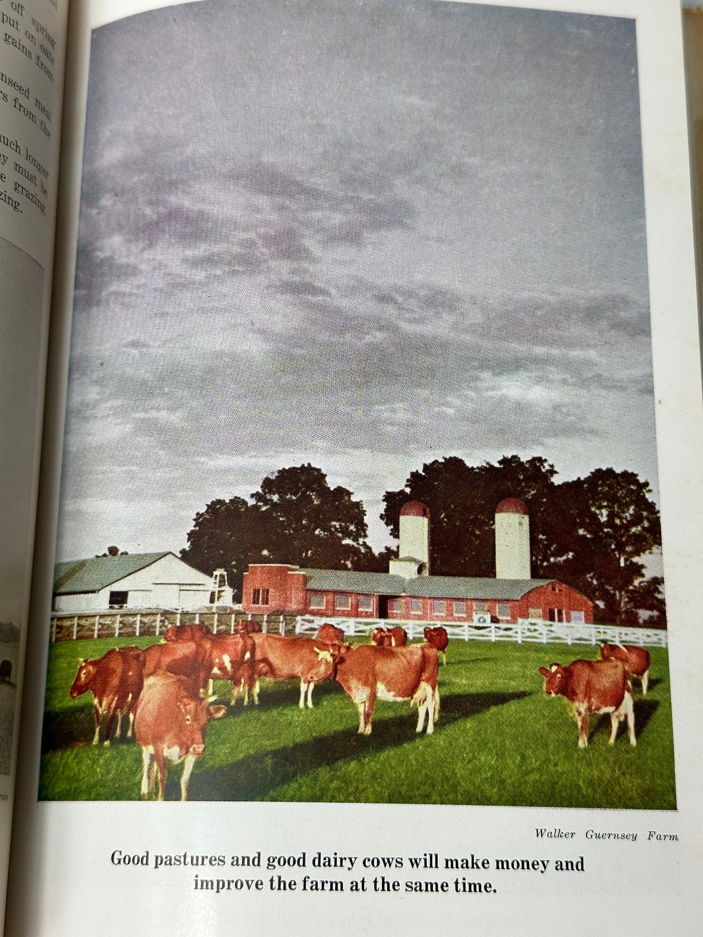 The Pasture Book 1949 by W. R. Thompson