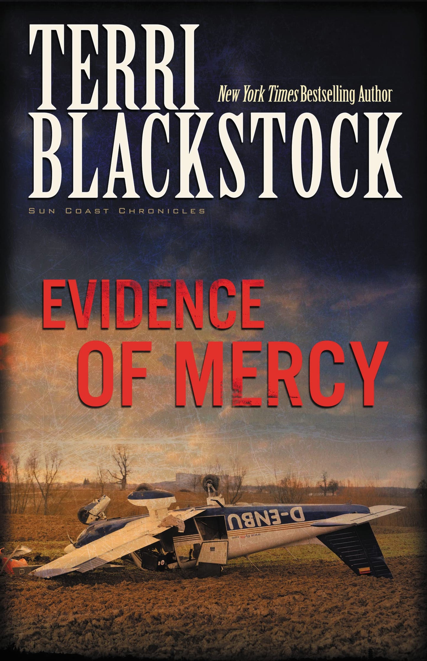 Evidence of Mercy - 4286
