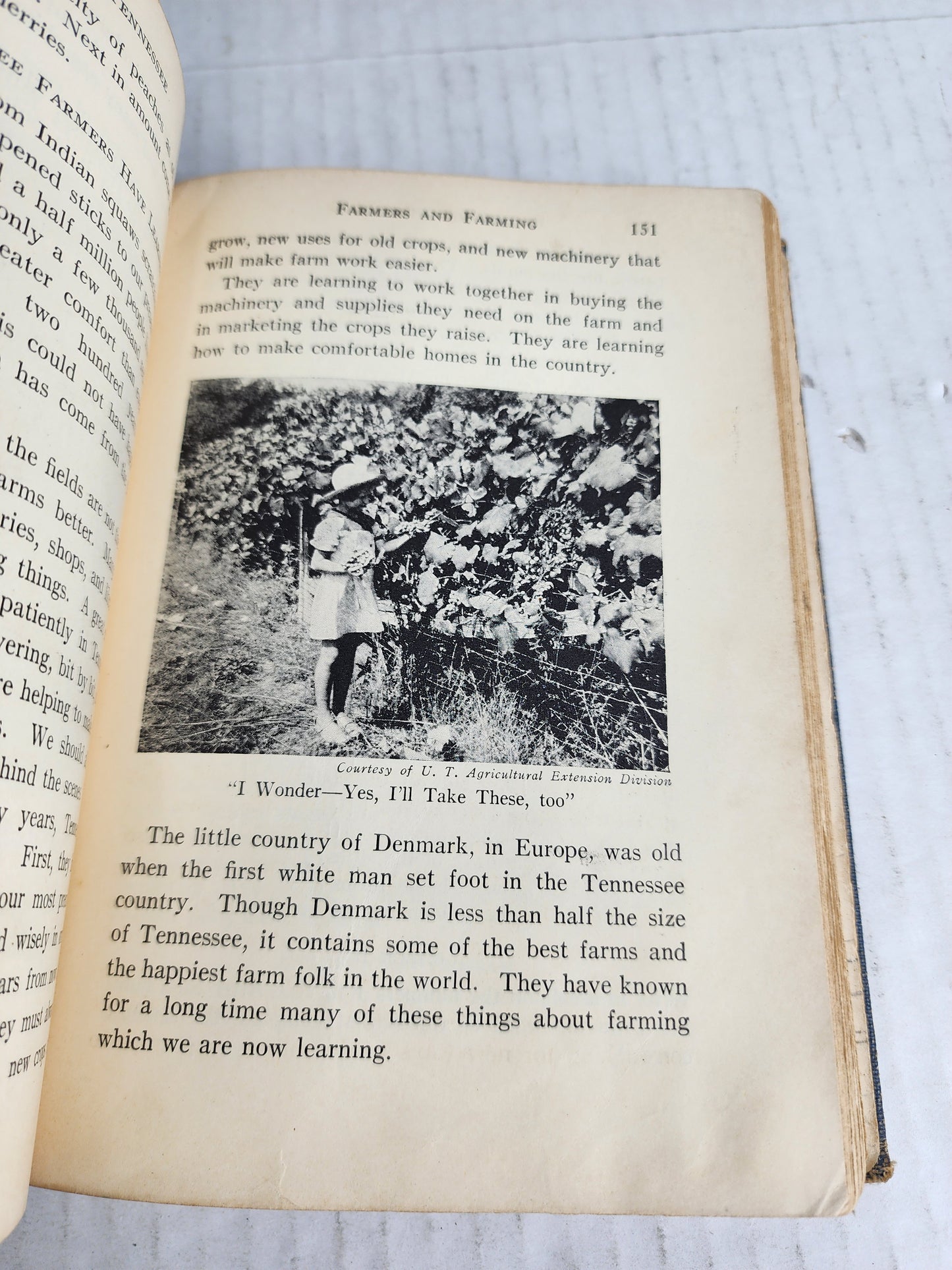 Discovering Tennessee 1936 Rothrock