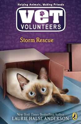 Storm Rescue (Vet Volunteers)
